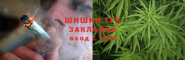 ГАЛЛЮЦИНОГЕННЫЕ ГРИБЫ Каменногорск