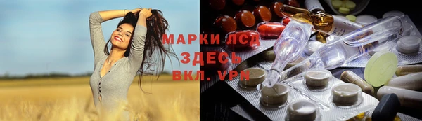 ГАЛЛЮЦИНОГЕННЫЕ ГРИБЫ Каменногорск