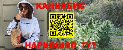 Альфа ПВП Кандалакша