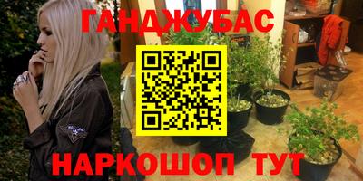 Альфа ПВП Кандалакша