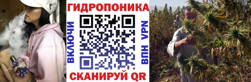 Бошки Шишки марихуана  Карачаевск 