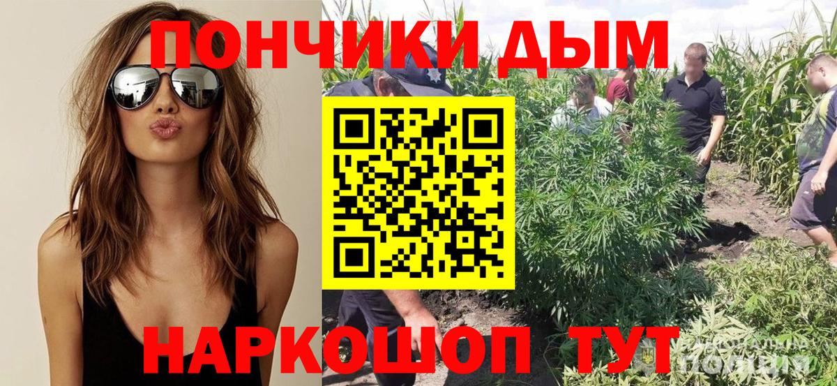 Канабис марихуана  Вход с VPN  Карачаевск  Марихуана сатива  Бошки марихуана White Widow 